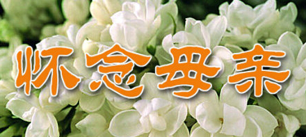 《怀念我的父母》佩华 雨林