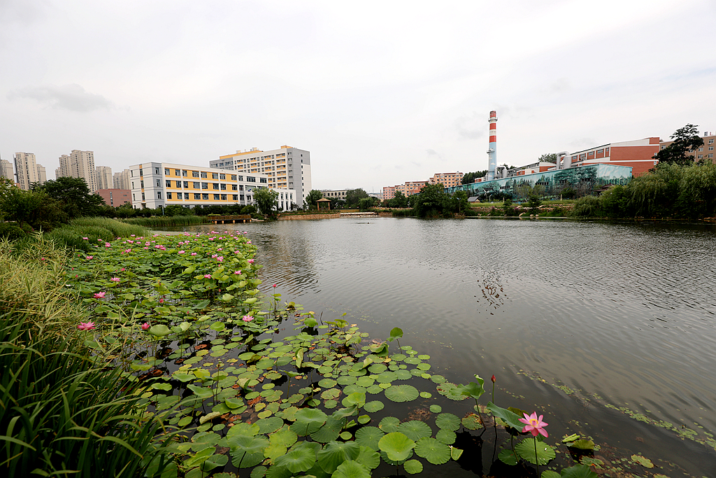 大连海事大学心海湖一一随拍