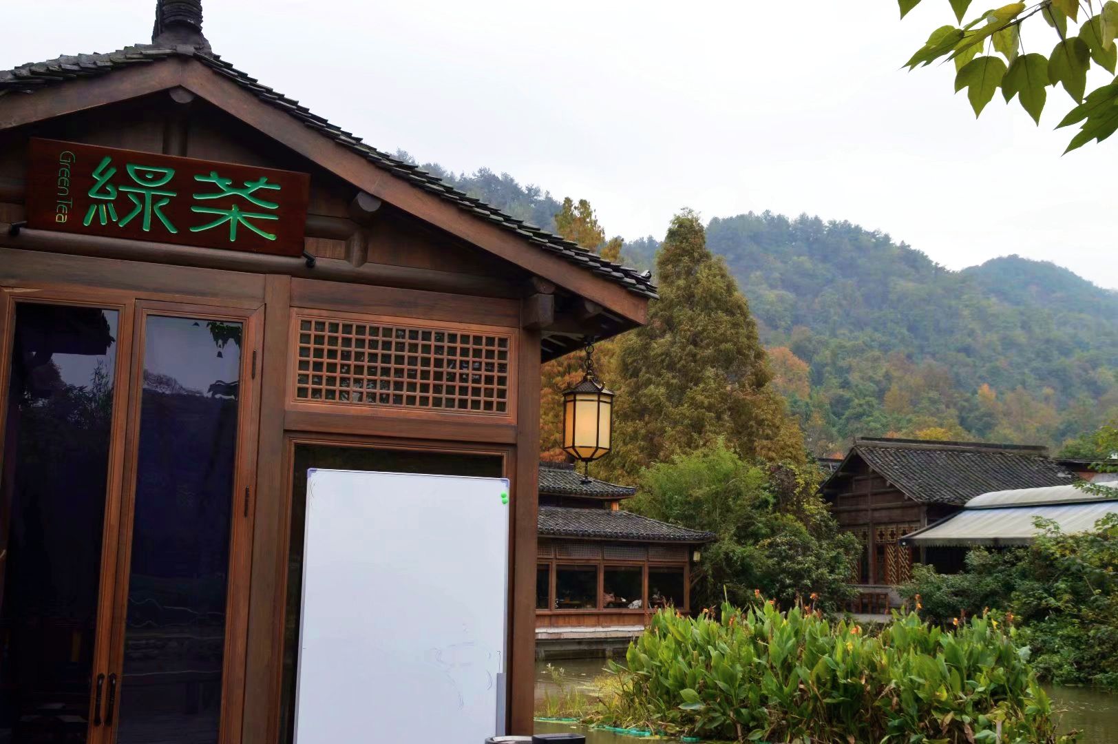 绿茶饭莊午餐钱王祠赏菊花雷峰塔风景区杭州西湖位于浙江省杭州市西部
