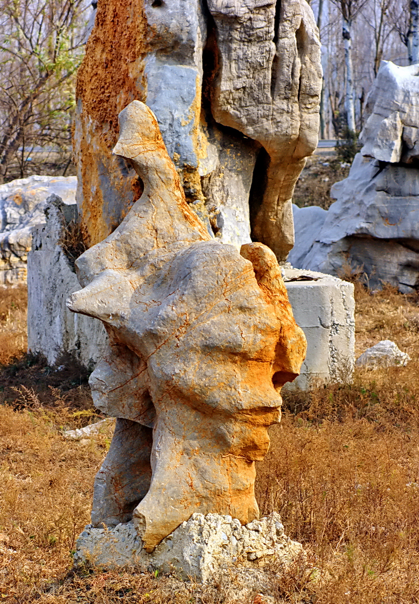 【首发】奇石怪石