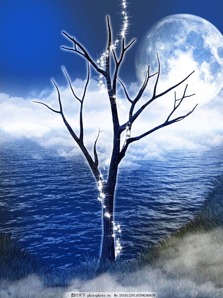 月下等你文字浅笑安然可遇不可求图片来自网络