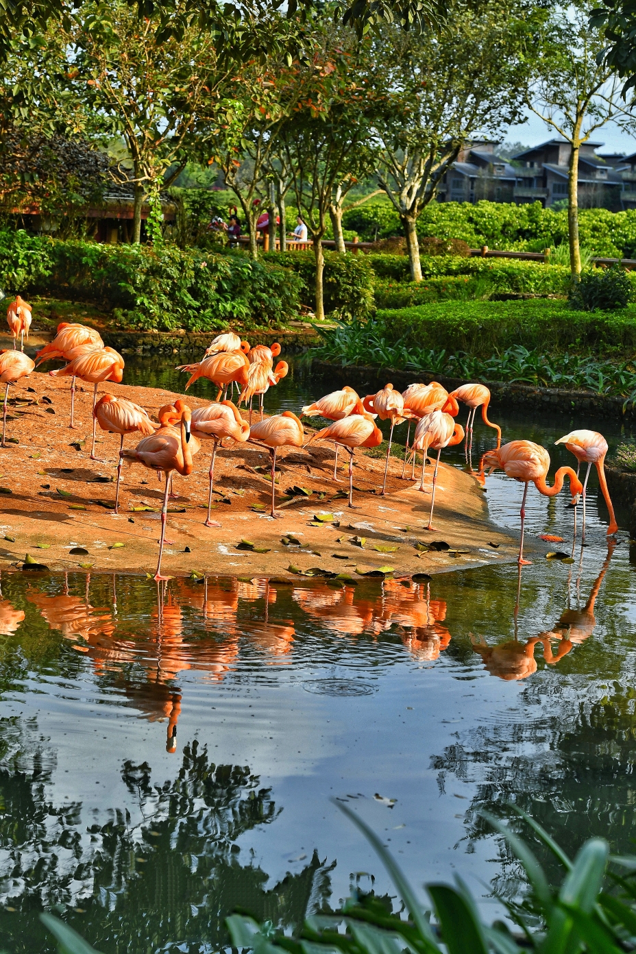 富力红树湾湿地公园