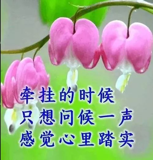 问候语集锦一