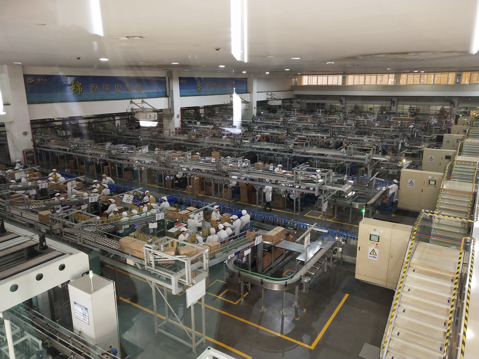 各大媒体参观洋河酒厂