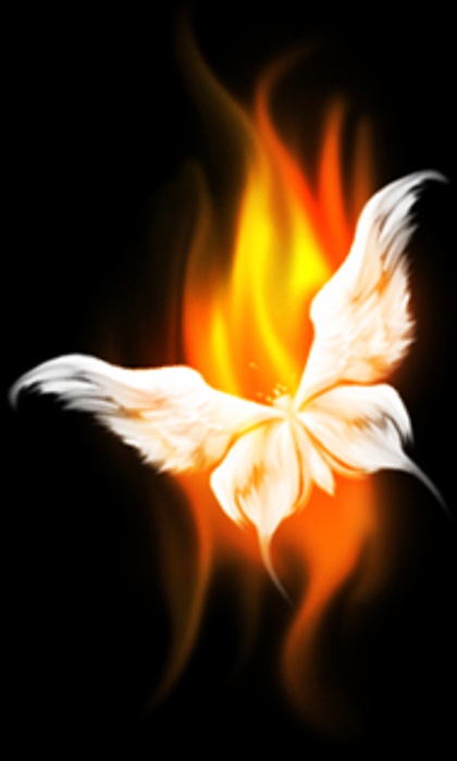 飞蛾扑火(新韵)