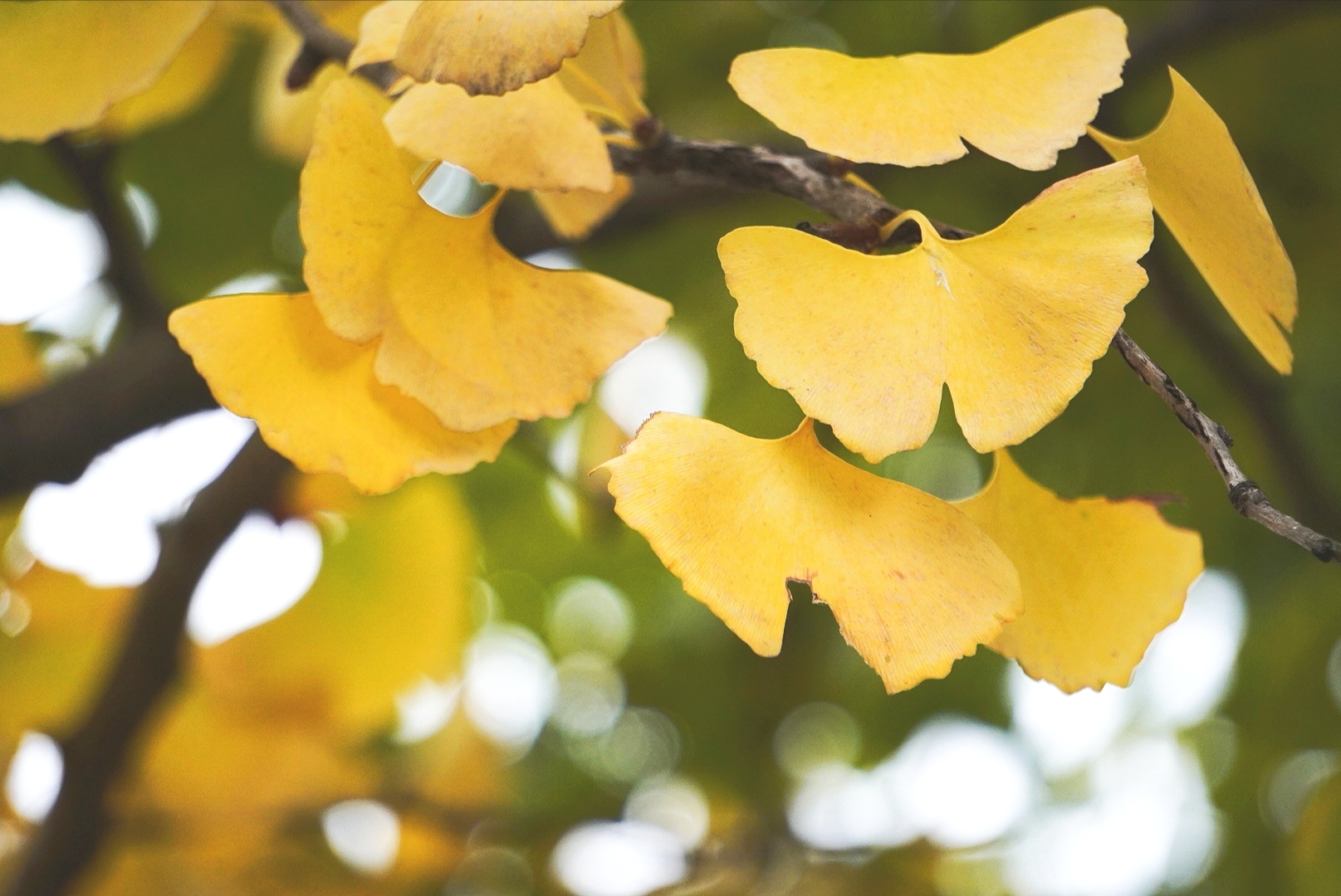 阳光下的美景【原创首发】