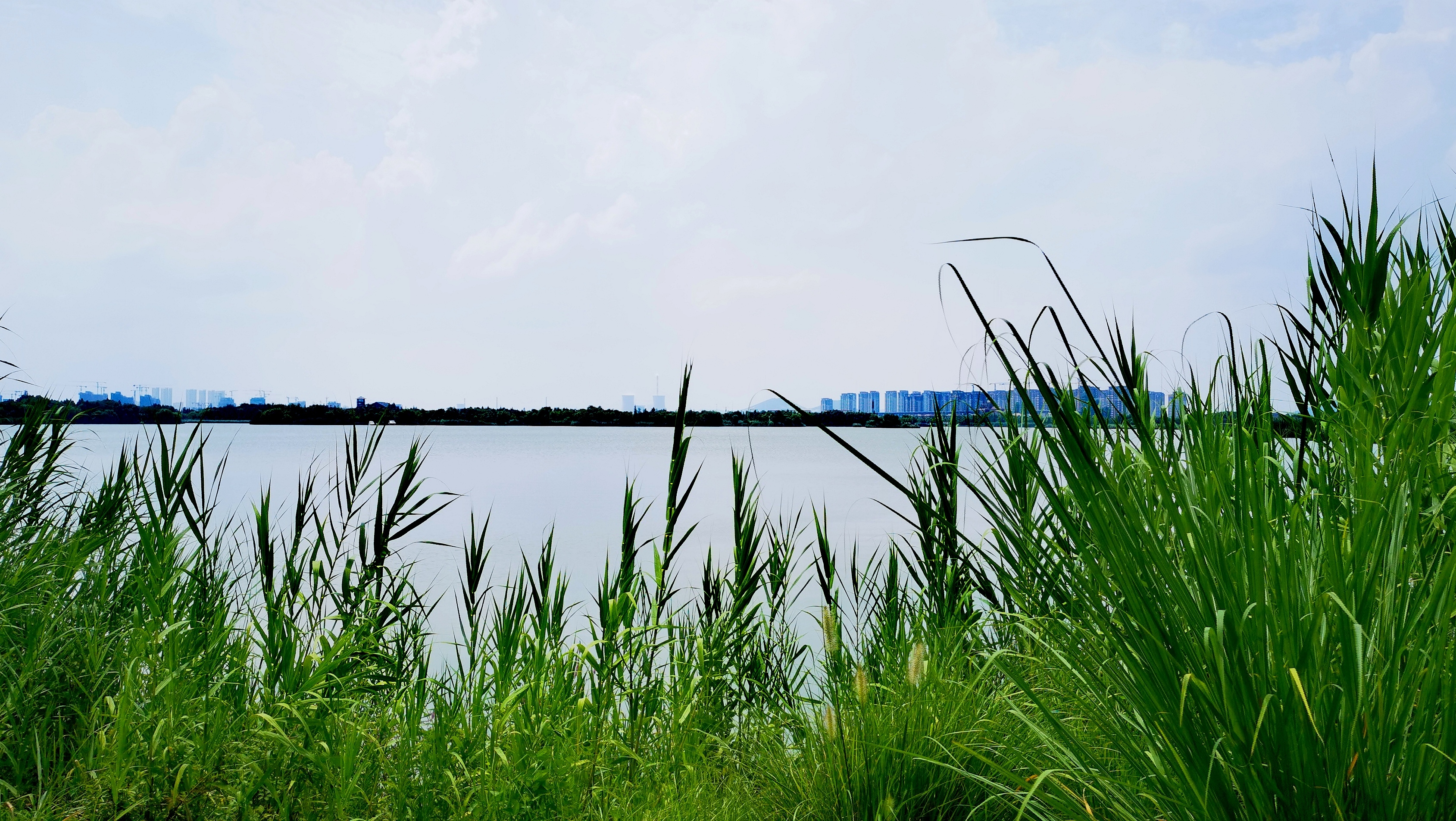 国家湿地潘安湖