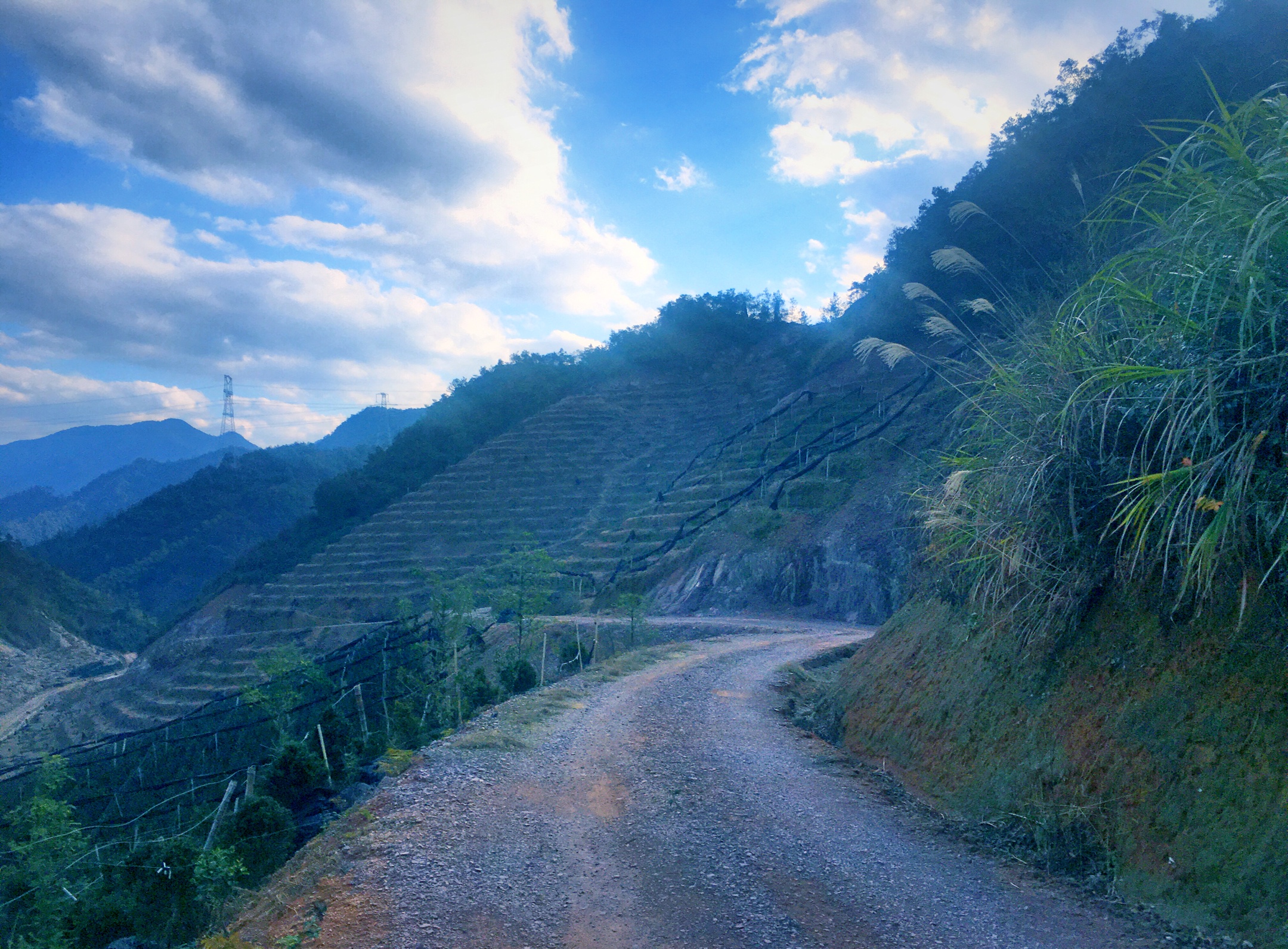 醉美南山山路2020年1月6日手机随记02