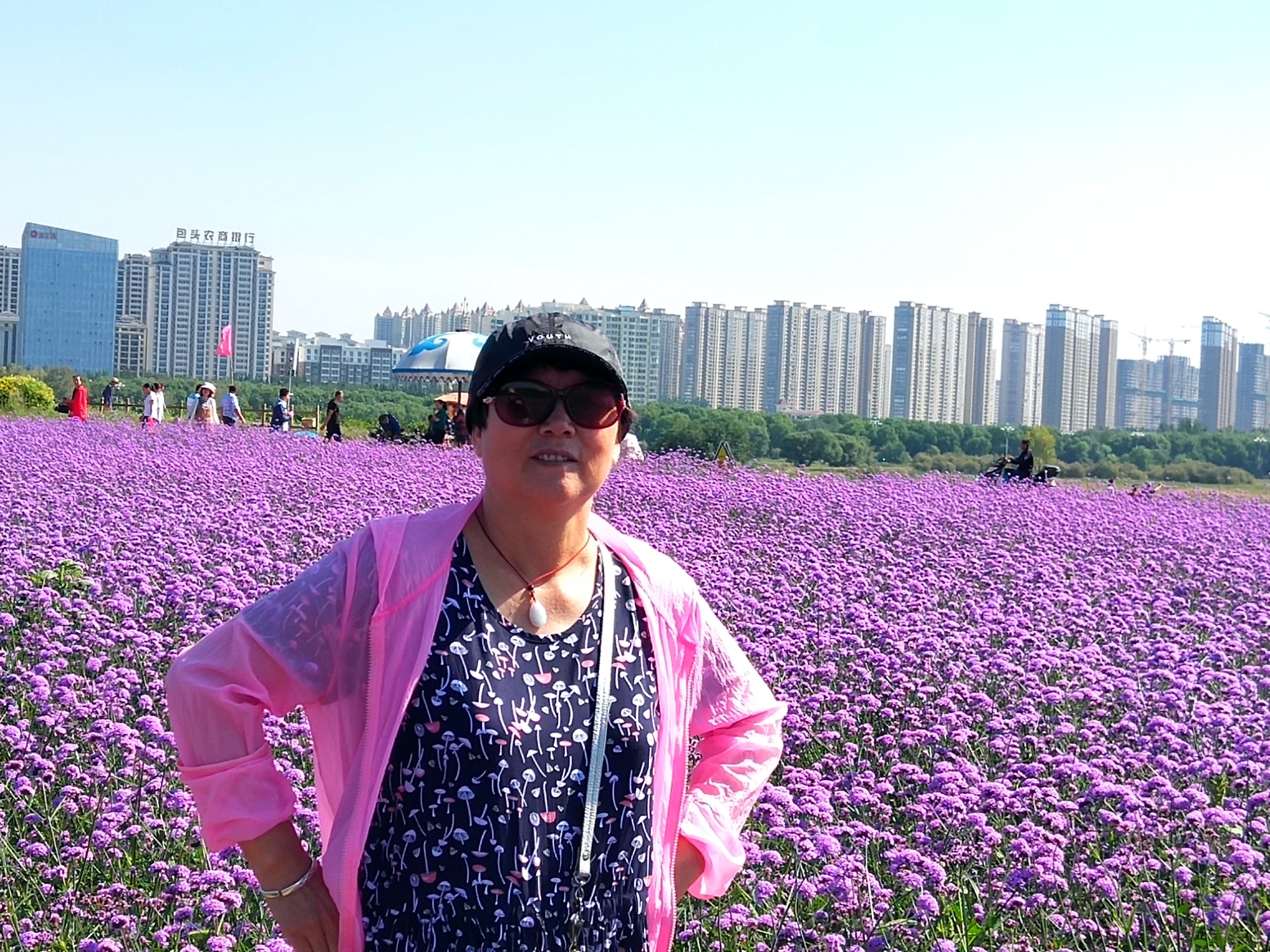 赛汗塔拉初秋的花海薰衣草