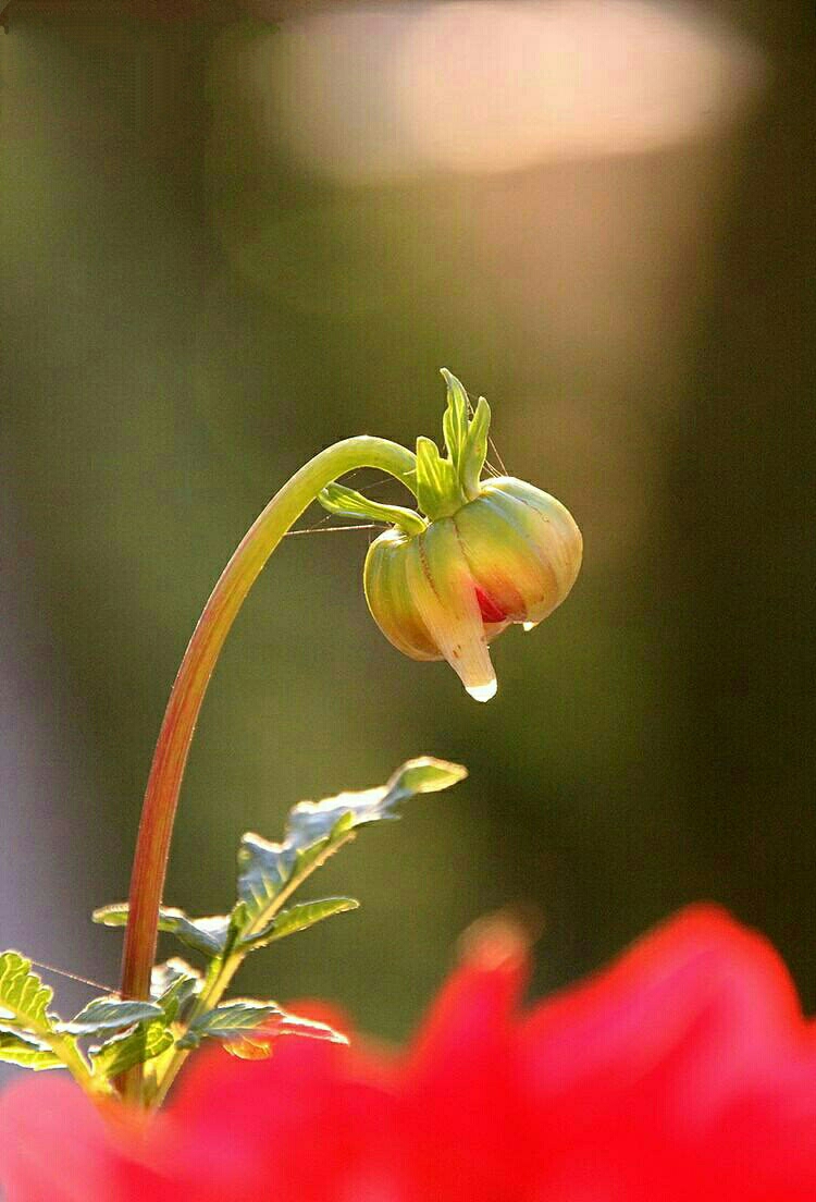 花影婆娑,满地秋