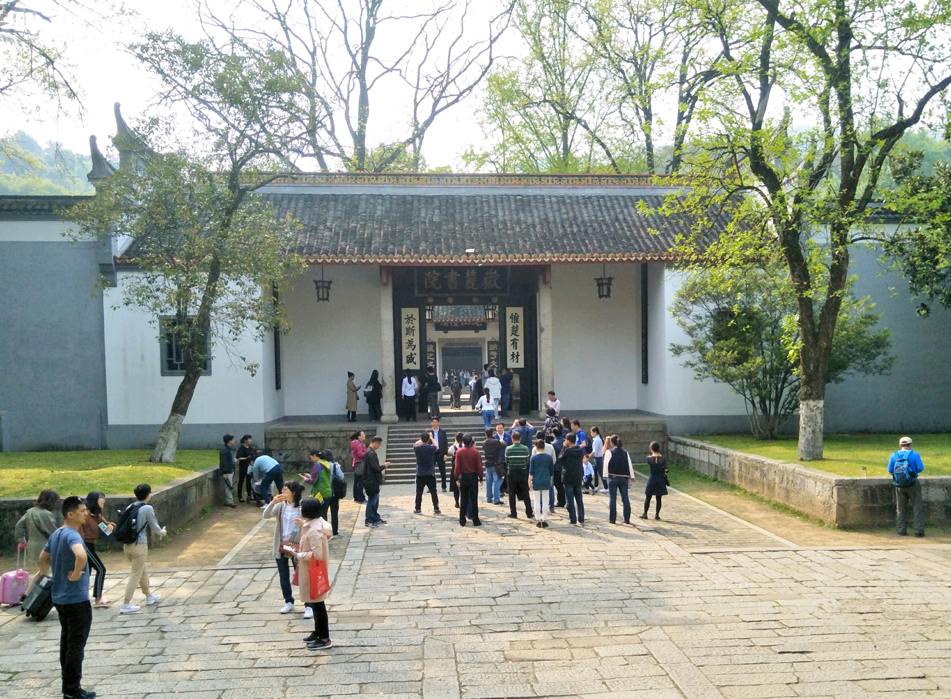 《春之歌-手机摄影-长沙岳麓书院