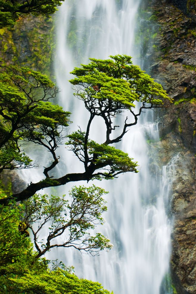 天高任鸟飞,海阔凭鱼跃.