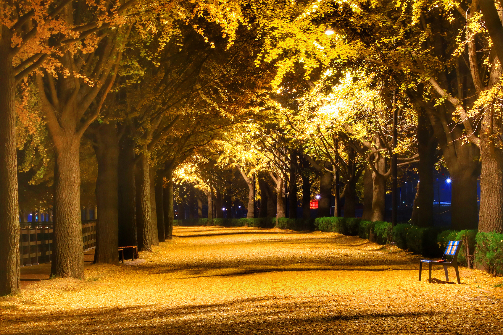 秋天的夜晚 风景图片图片
