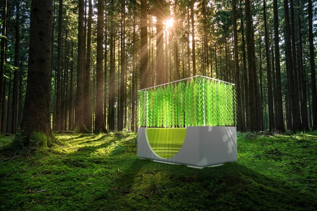 的传统在当下如何相融,设计师 isabelle 利用艺术装置传递价值观之外