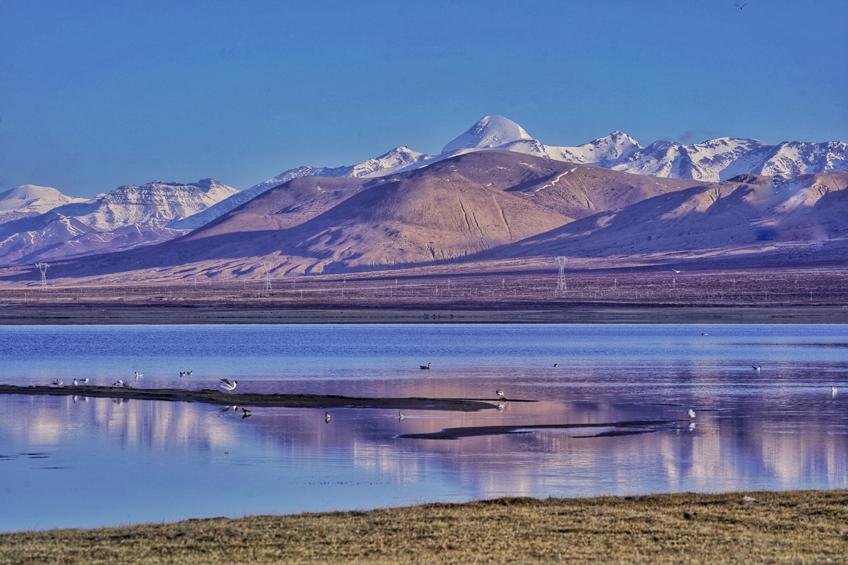 阿里圣湖～玛旁雍错