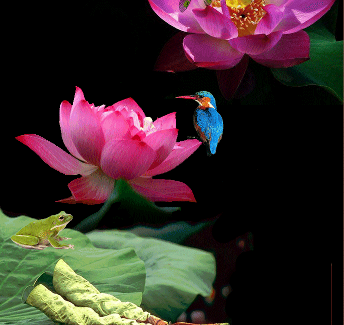 688_649gif 动态图 动图