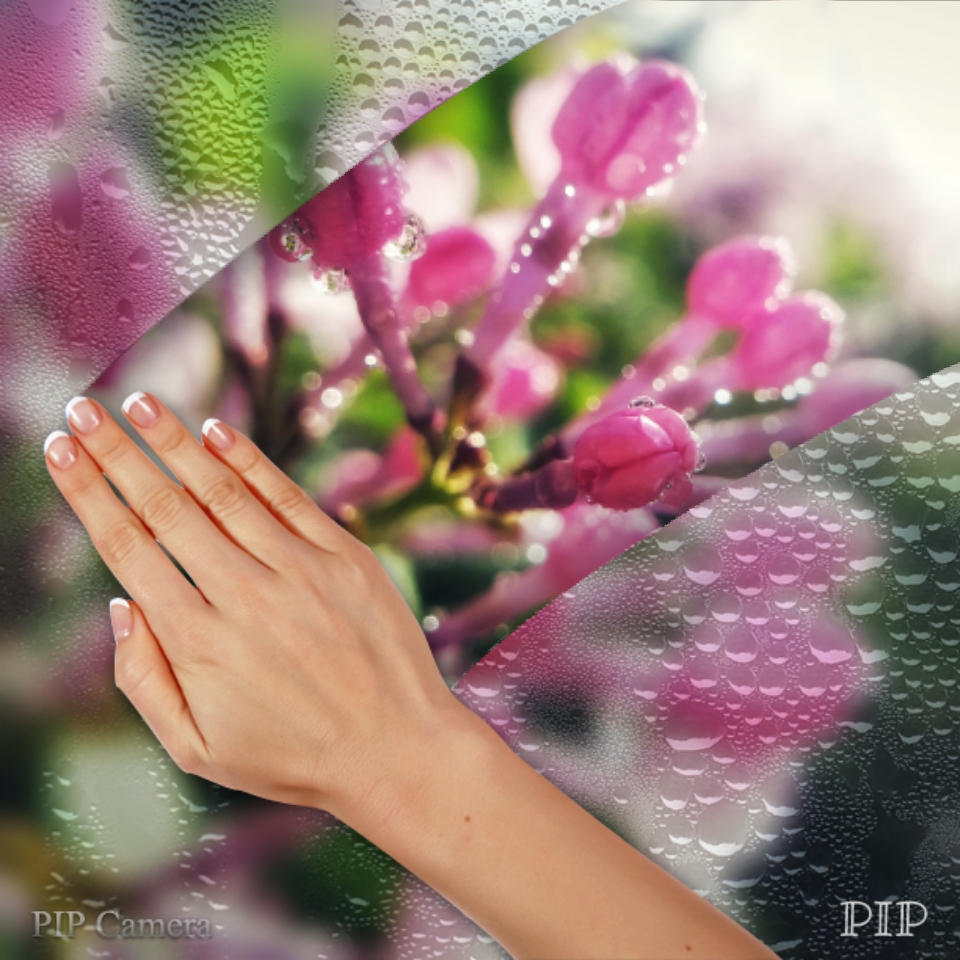 拈花一笑心自柔