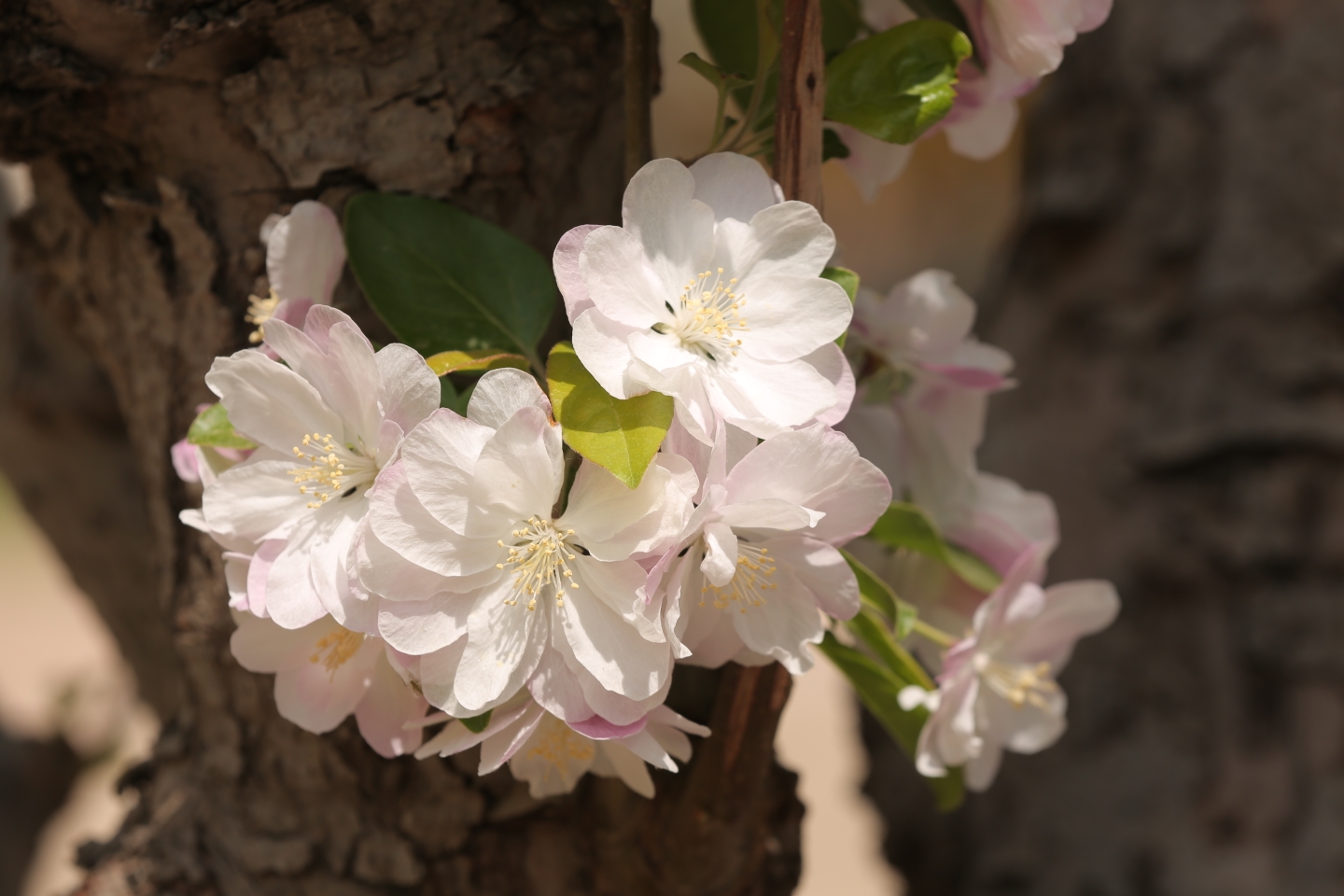 202148枫叶红摄影教学班小张老师带大家去北京海棠花溪奥林匹克公园