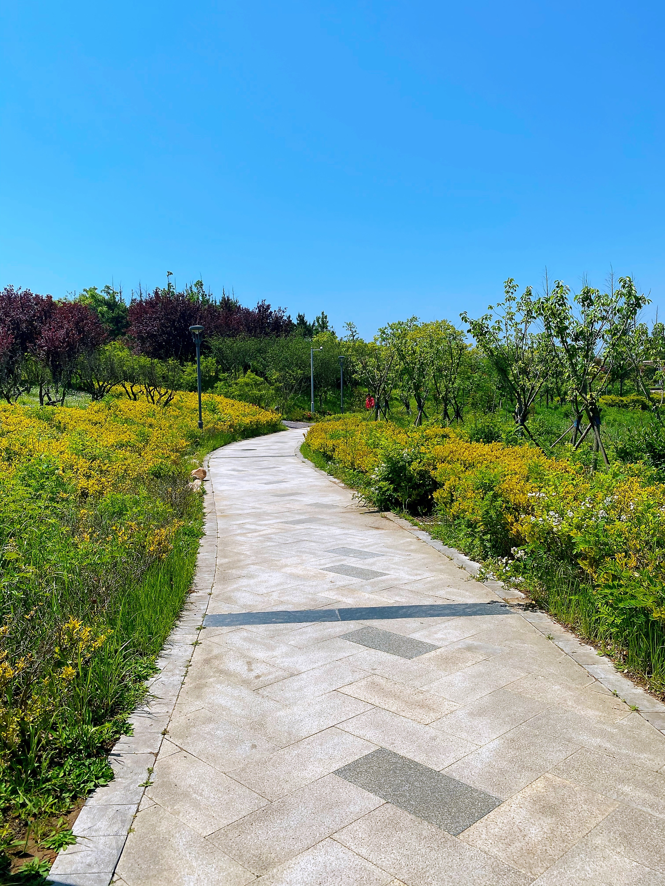【首发】海西湿地公园掠影