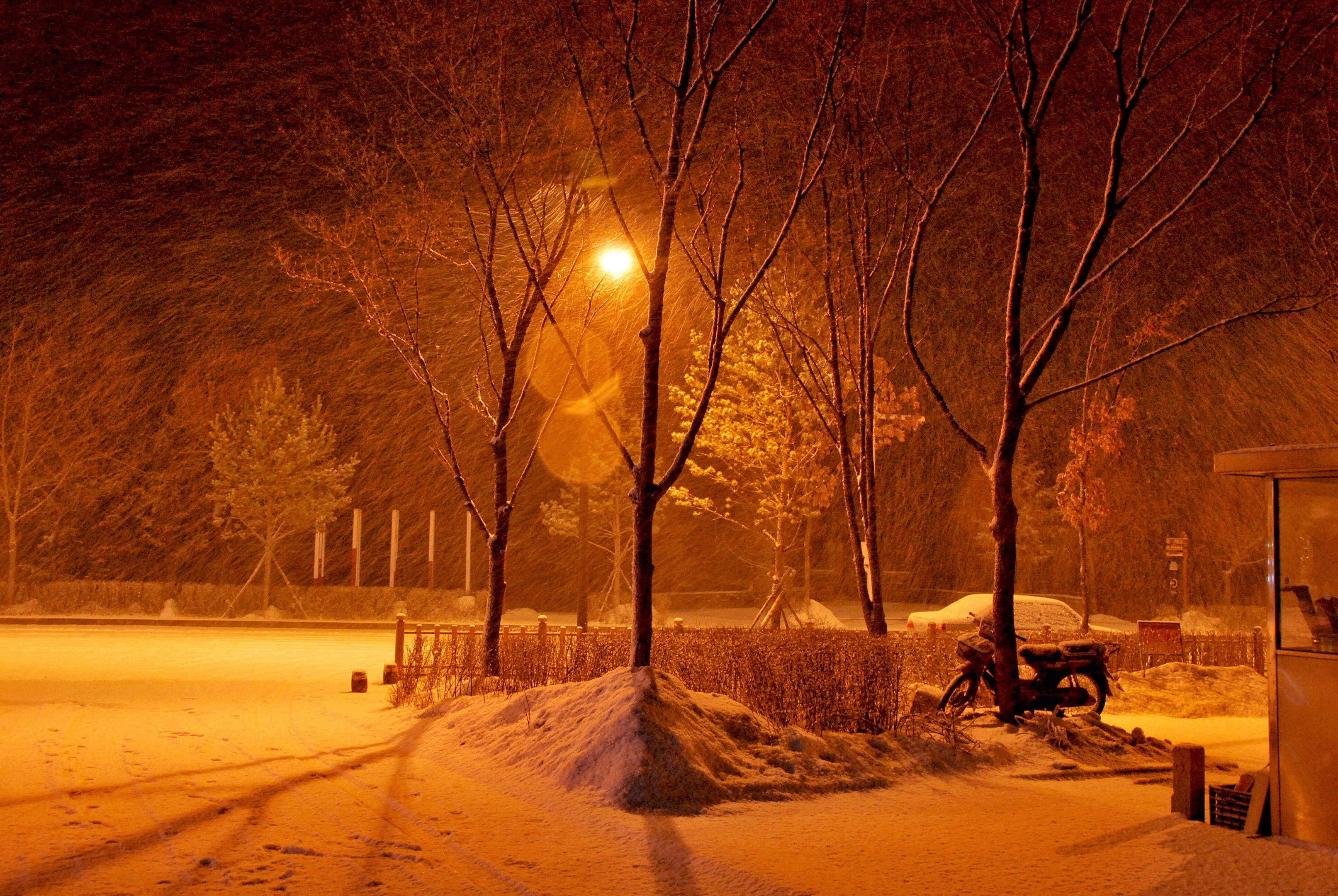 下雪路上的美景图片
