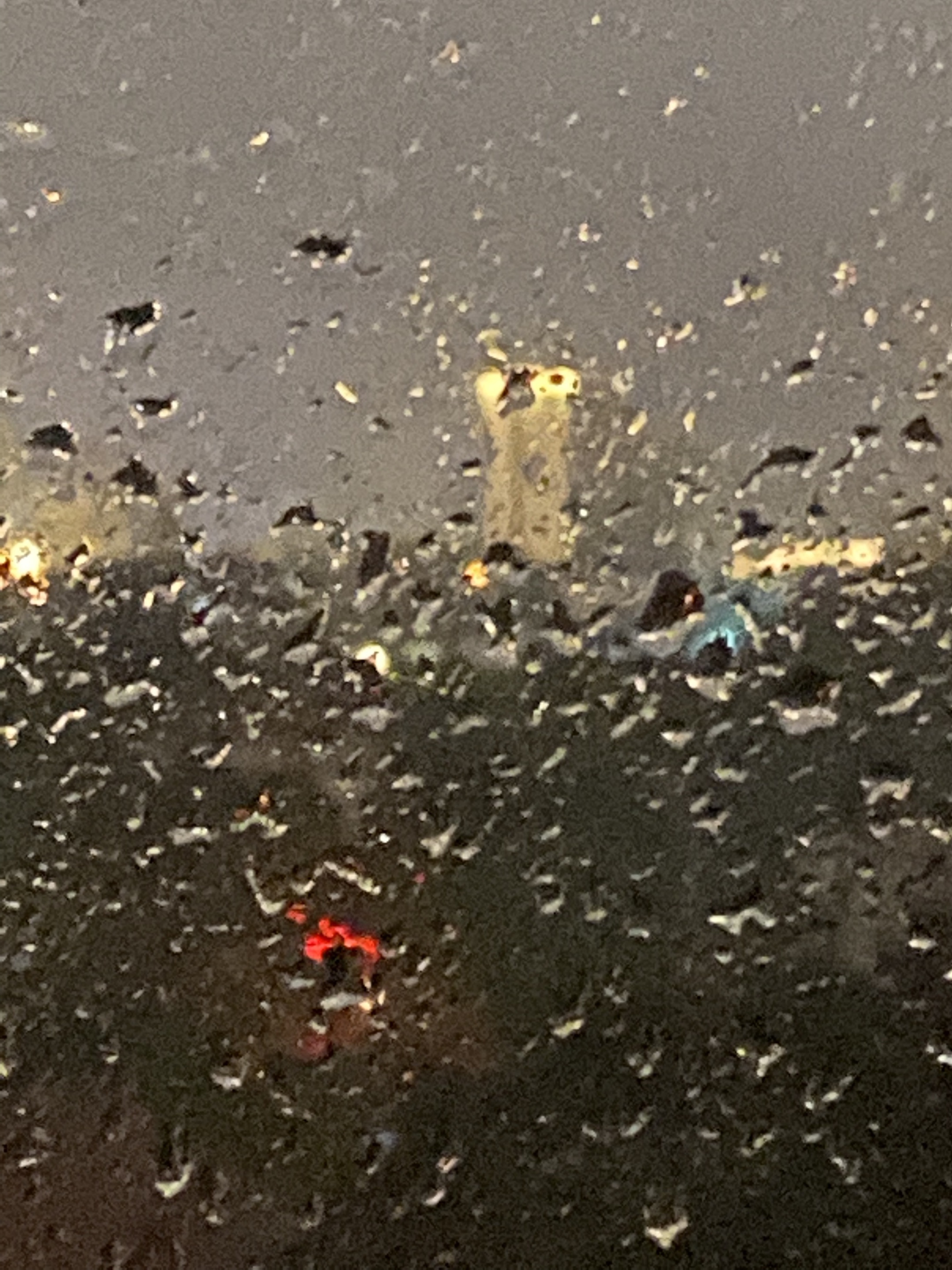 【首发】夜观秋雨