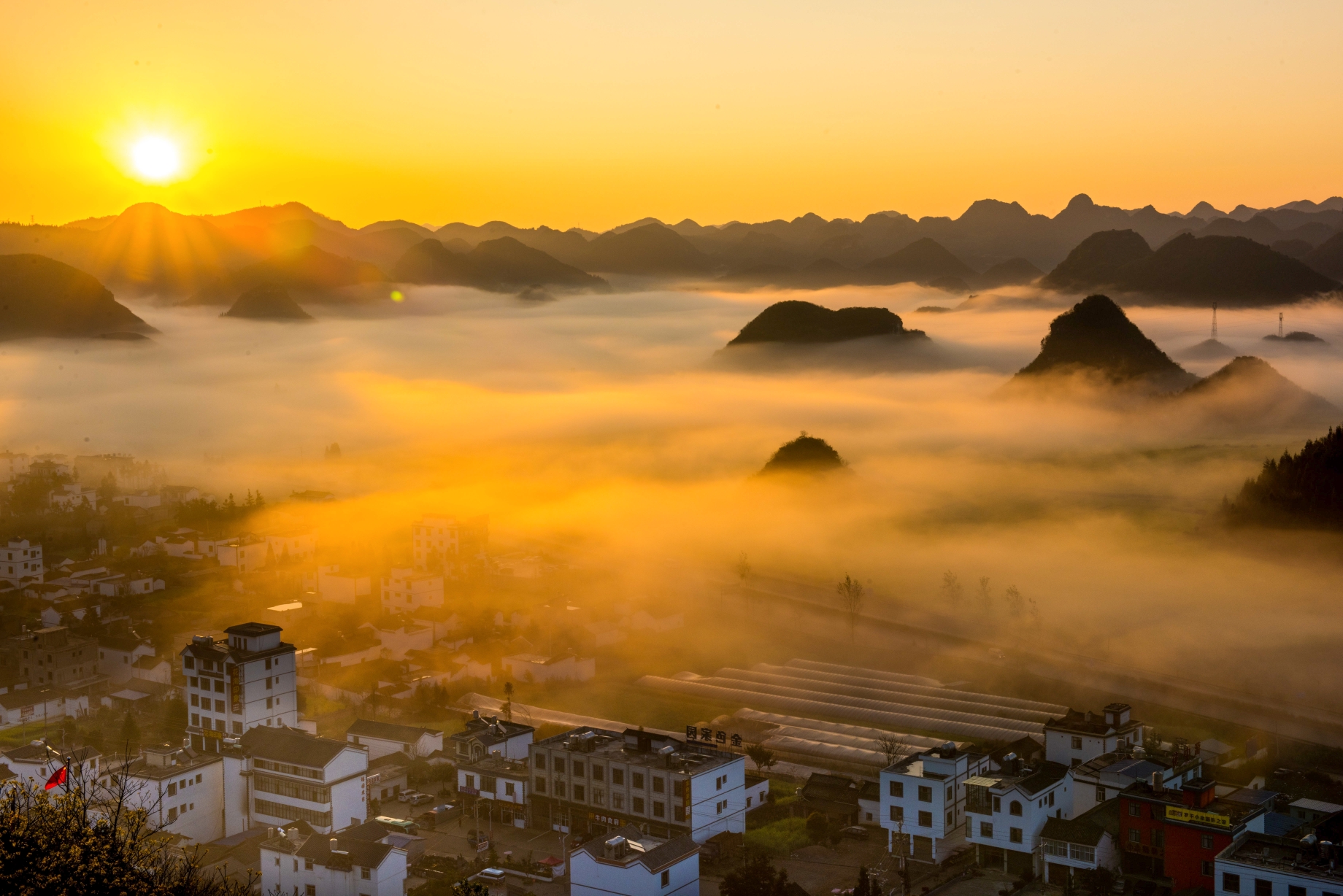 云南罗平油菜花独具特色,每年的2到3月份,罗平油菜花已进入最美花期