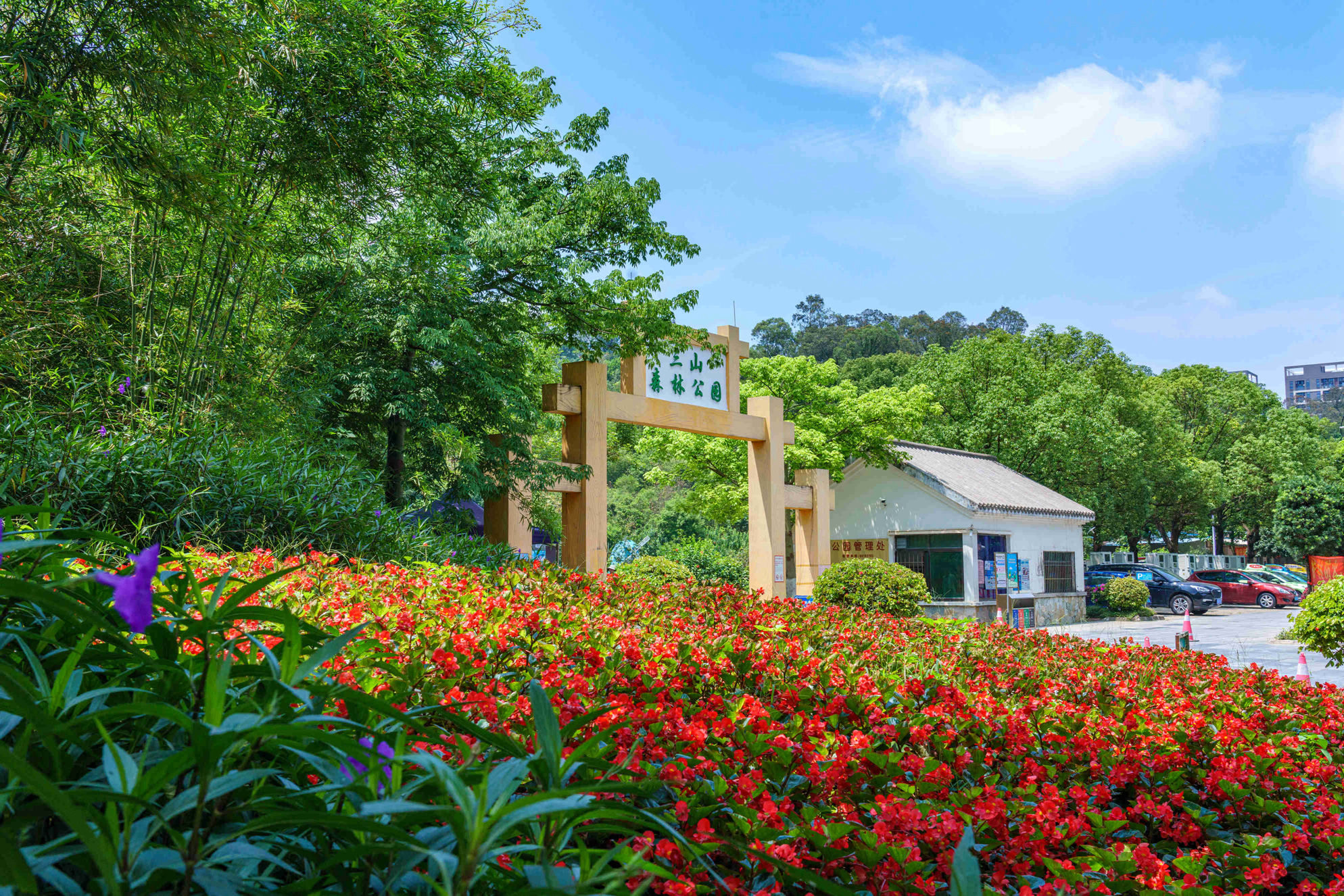 美丽三山-生态公园