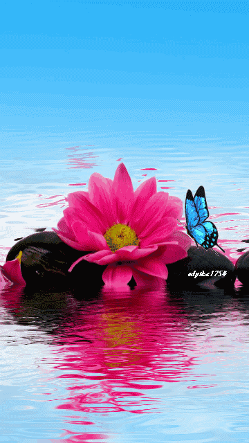 360_640竖版 竖屏gif 动态图 动图