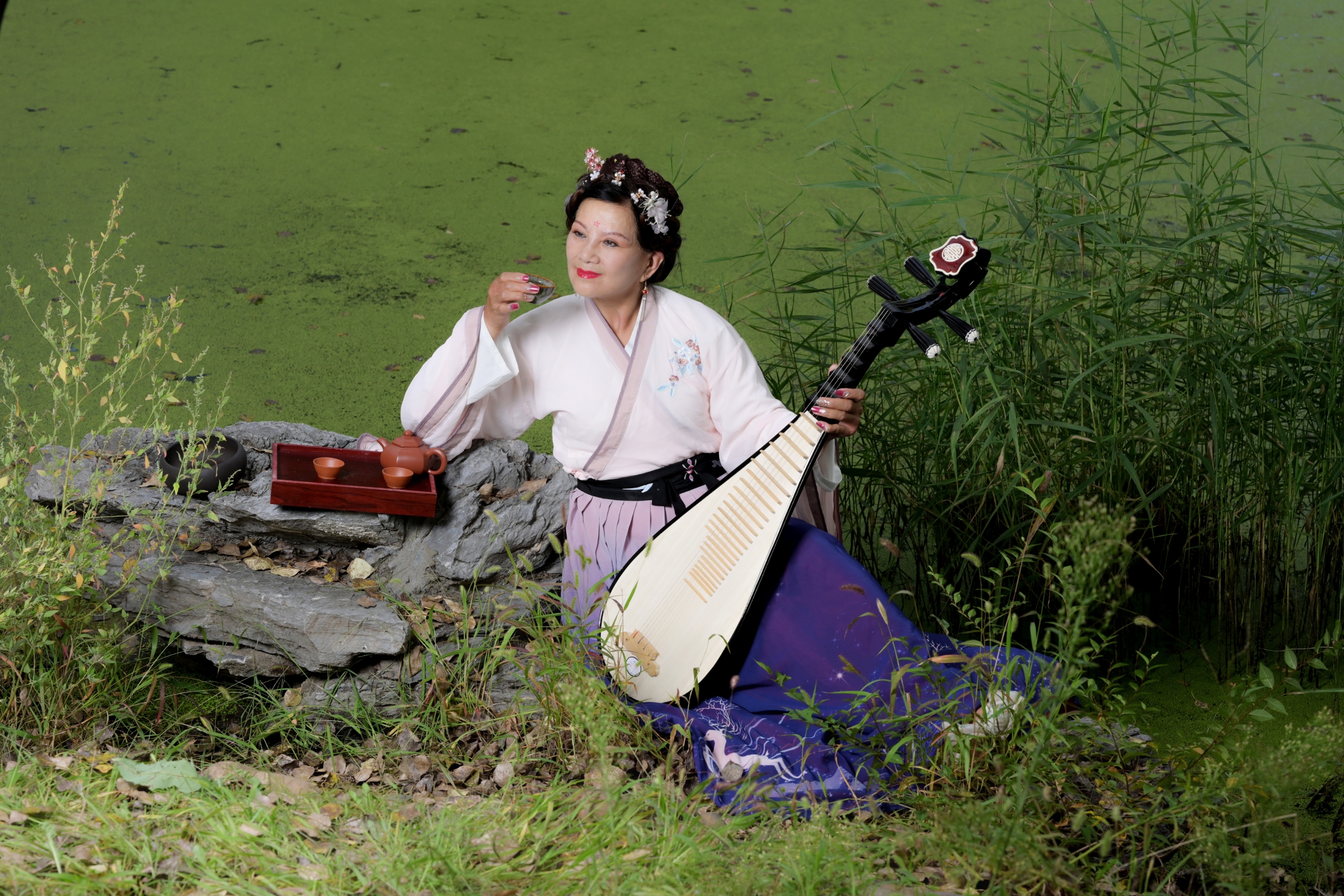 弹一曲琵琶诉情殇