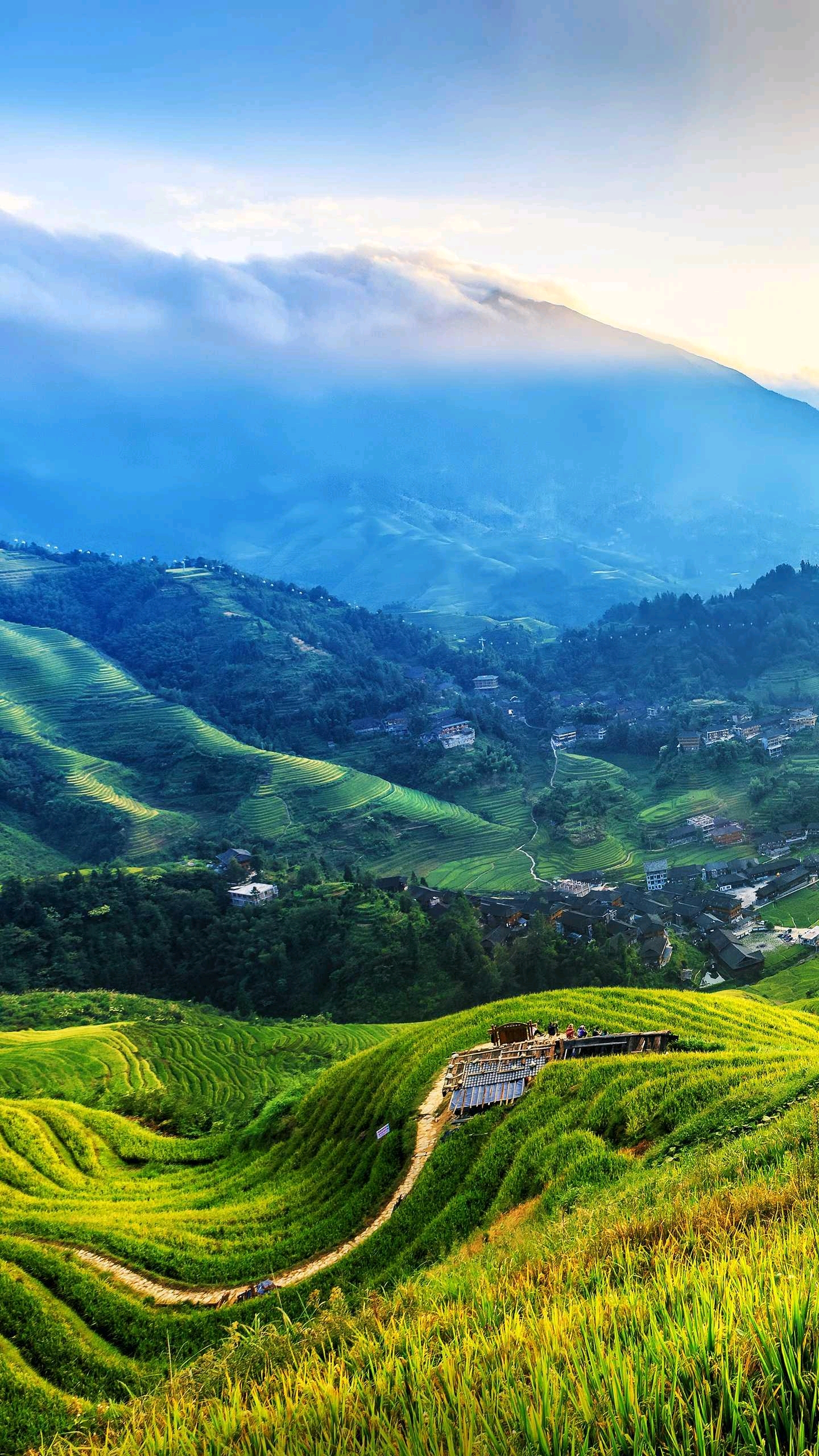 牧场,卸掉尘世一切繁杂和迷茫,漫步在长满花草的草原上,用清风牧放