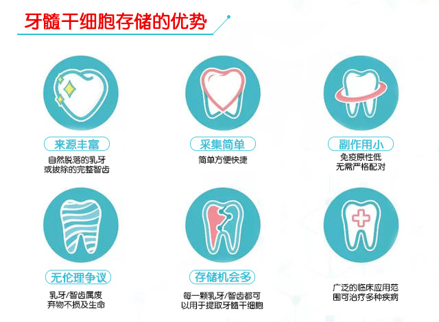 這幾種方法激活幹細胞可讓損壞的牙齒再生