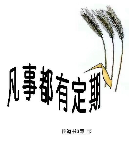 问问自己多少时光为主活问问自己多少时光为主活一辈子匆匆过振作起来