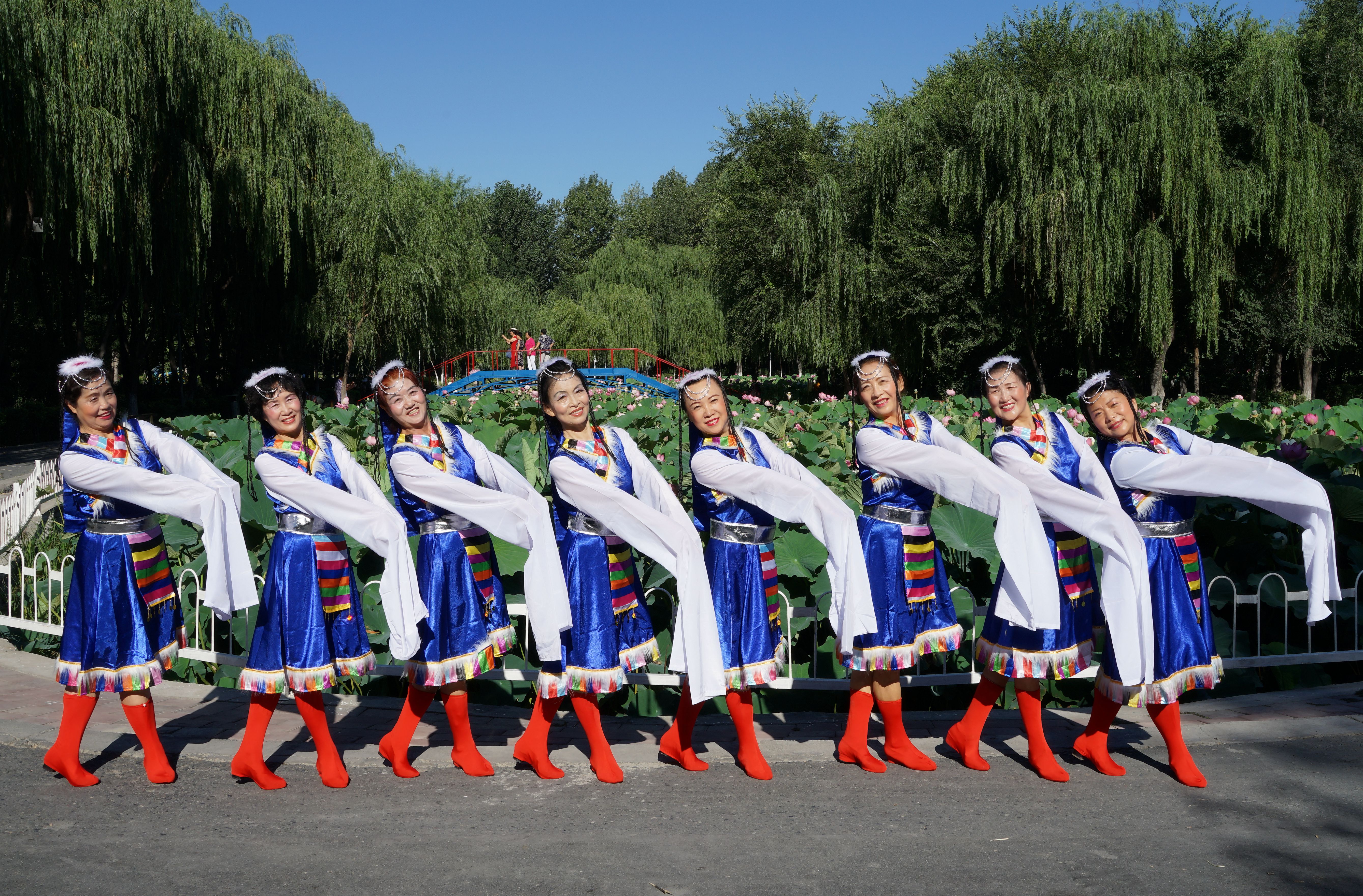 藏族舞蹈:《卓玛》表演:新疆石河子向阳街道23社区舞韵之缘舞蹈队