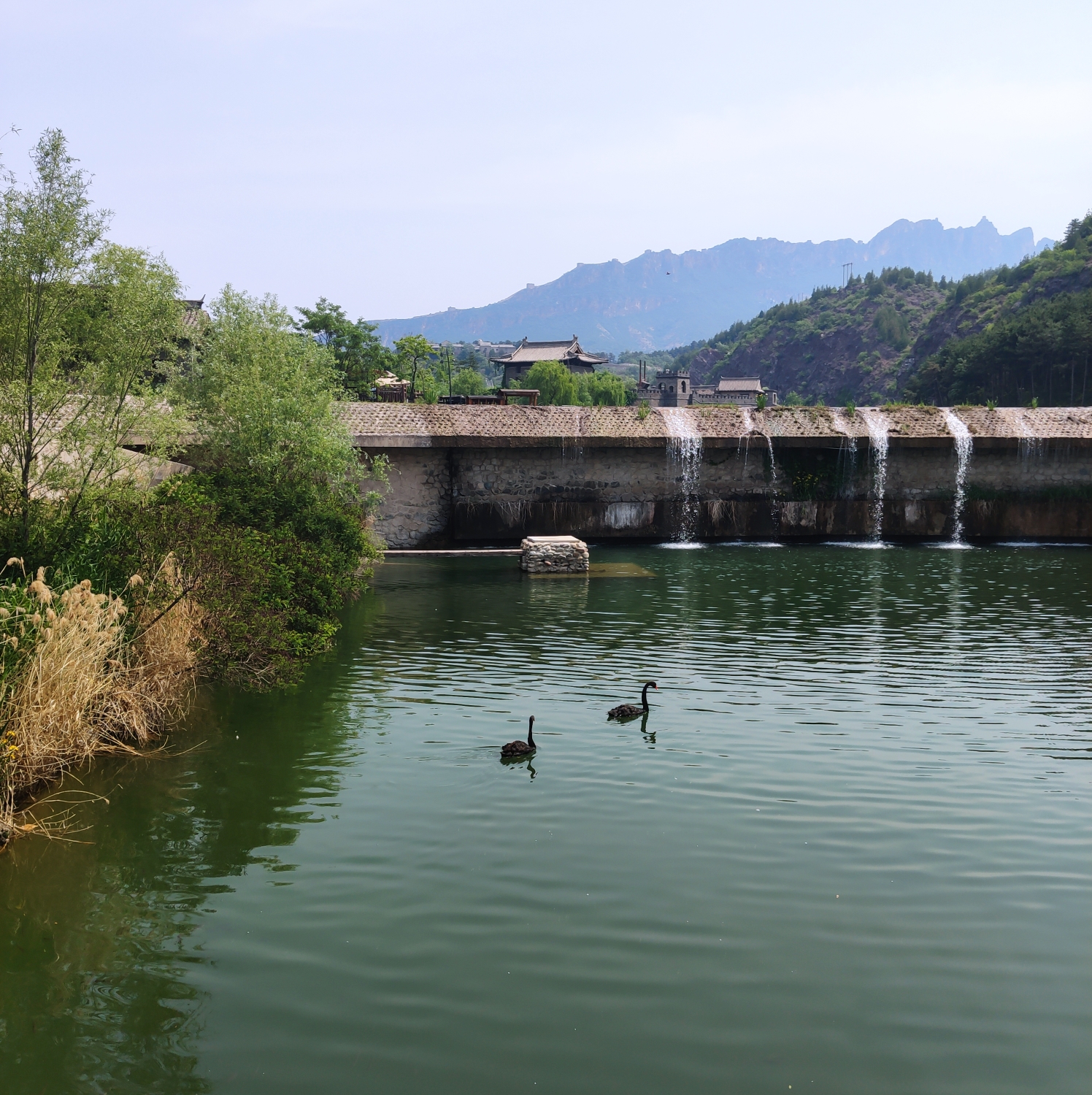 《你抱石一跳》作者:心灵活水    朗诵:萍馨-未知02:23特别声明:本文