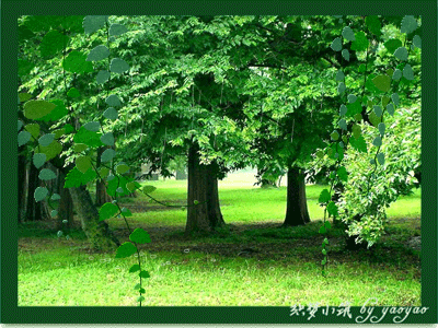 400_300gif 动态图 动图