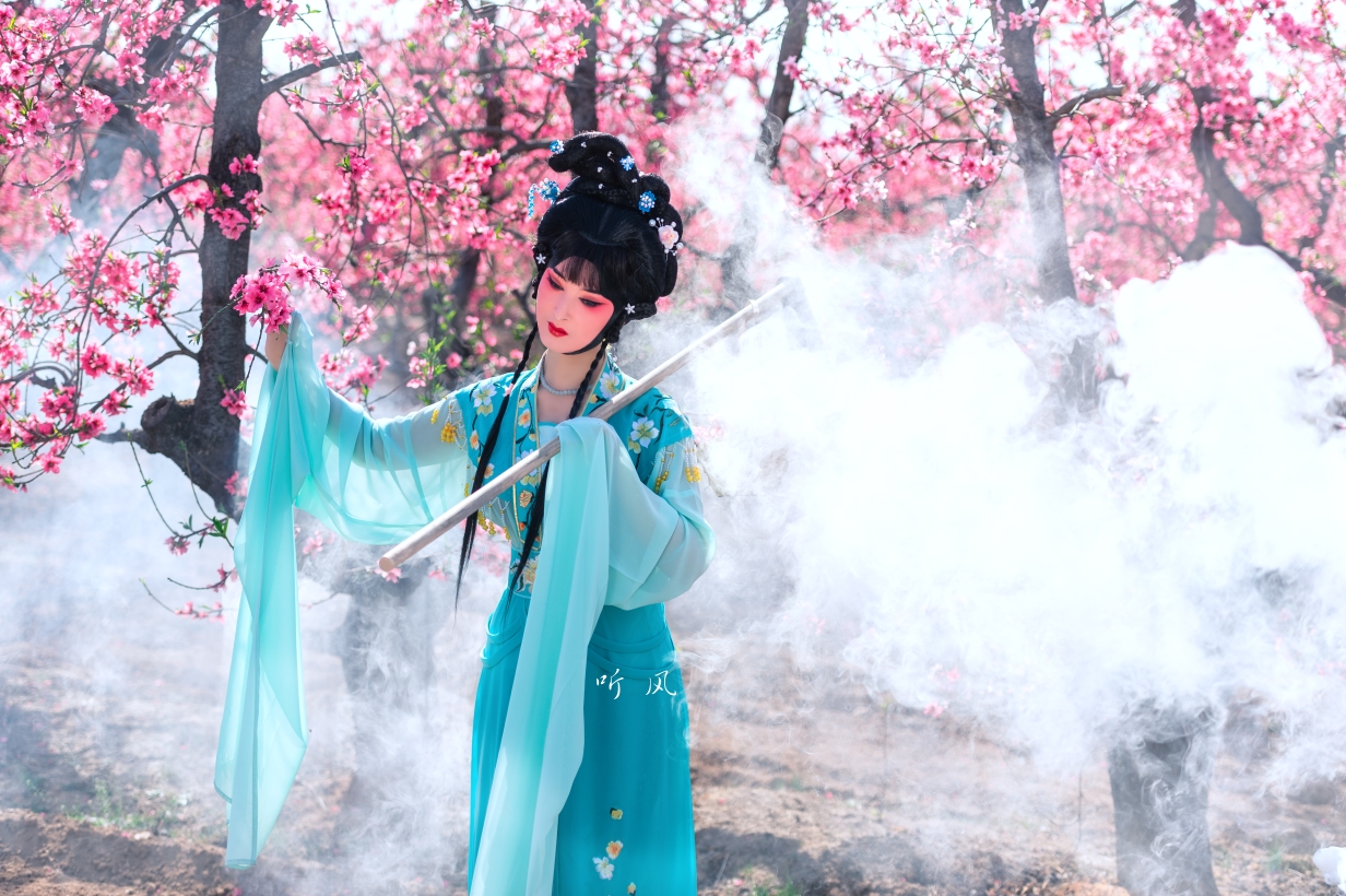 黛玉葬花