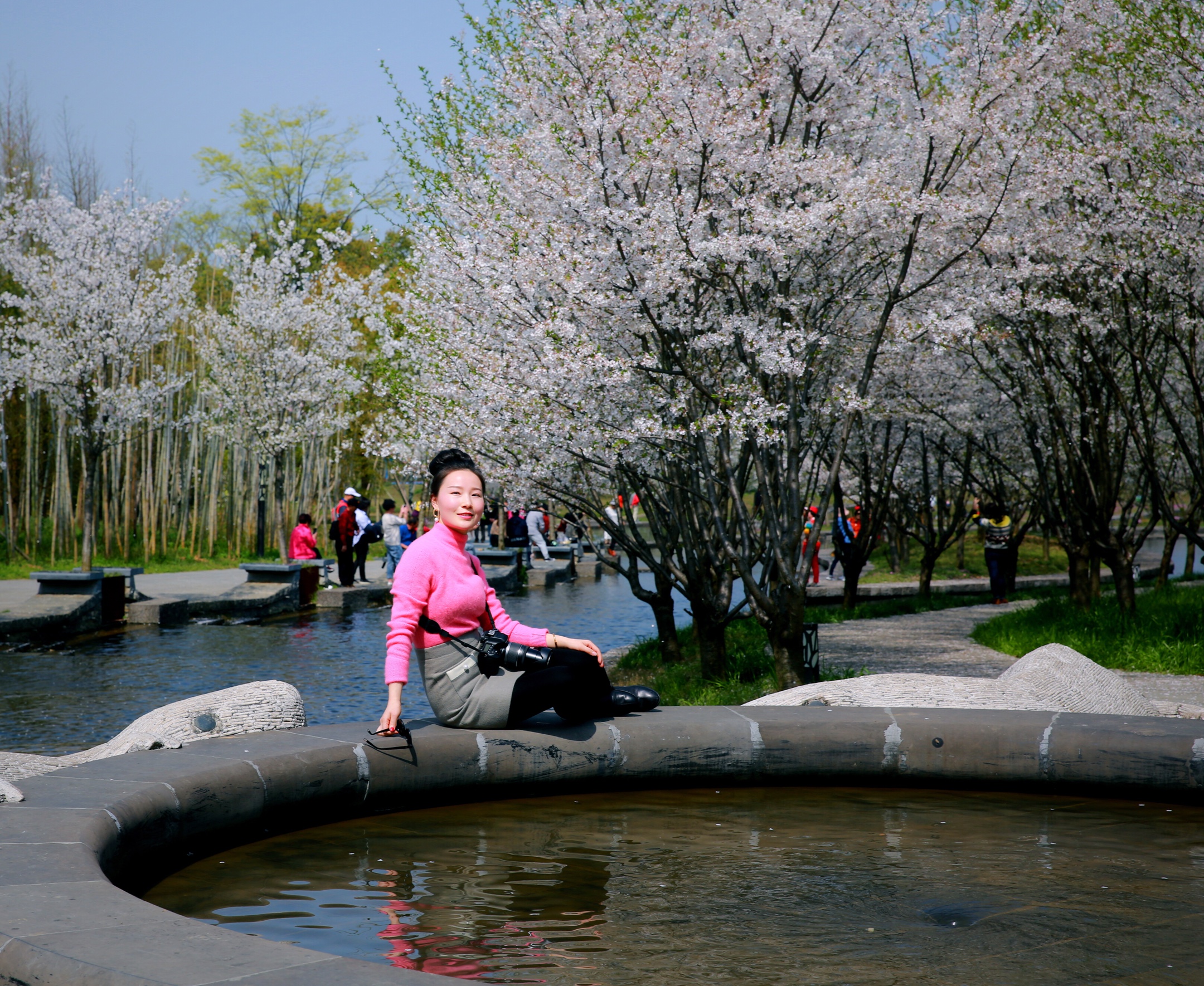 樱花烂漫时摄于兰溪兰湖度假村