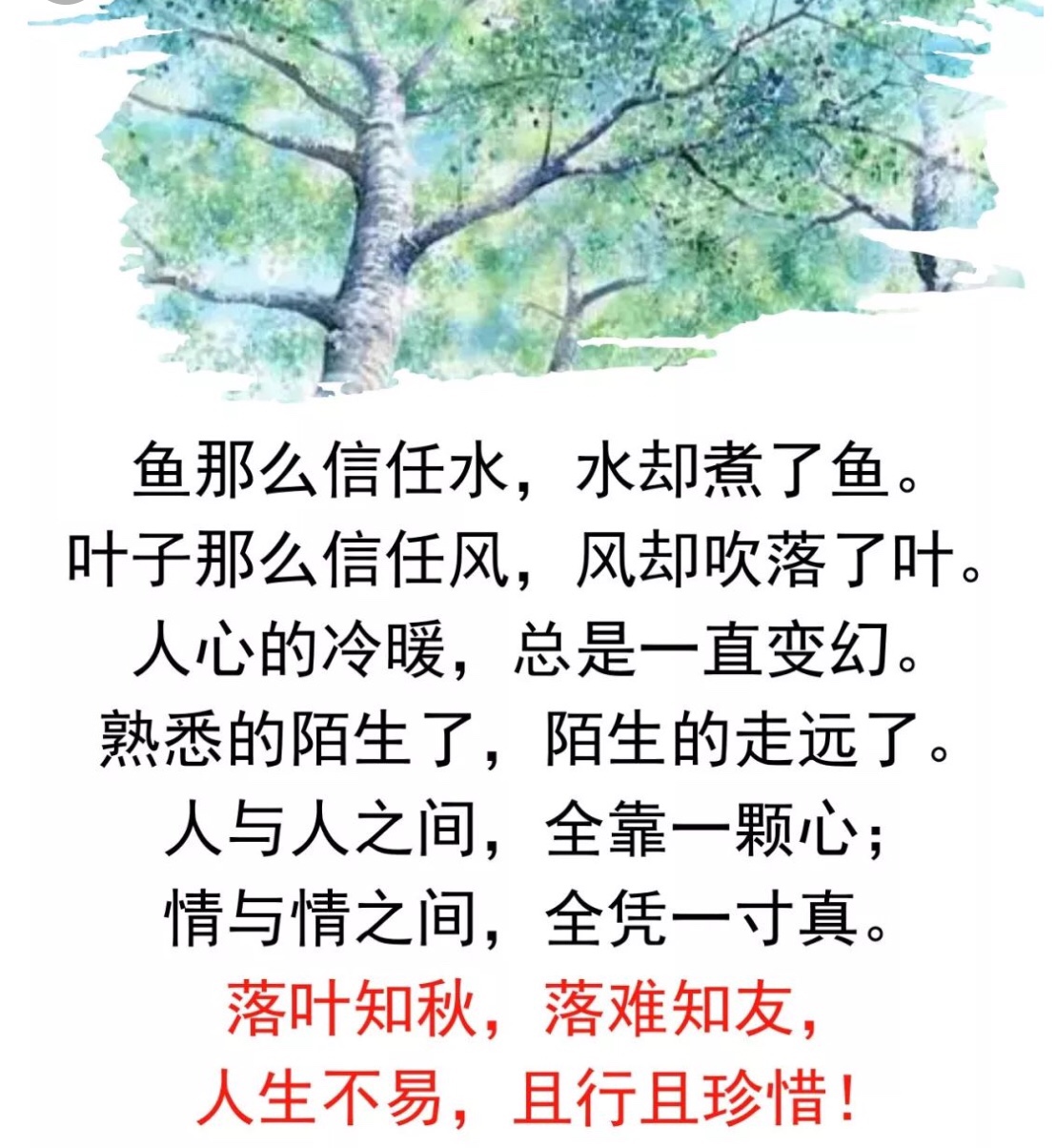 鱼那么信任水水却煮了鱼