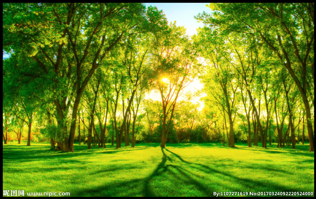 简洁朗诵翻阅阳光作者阿紫编辑制作简洁