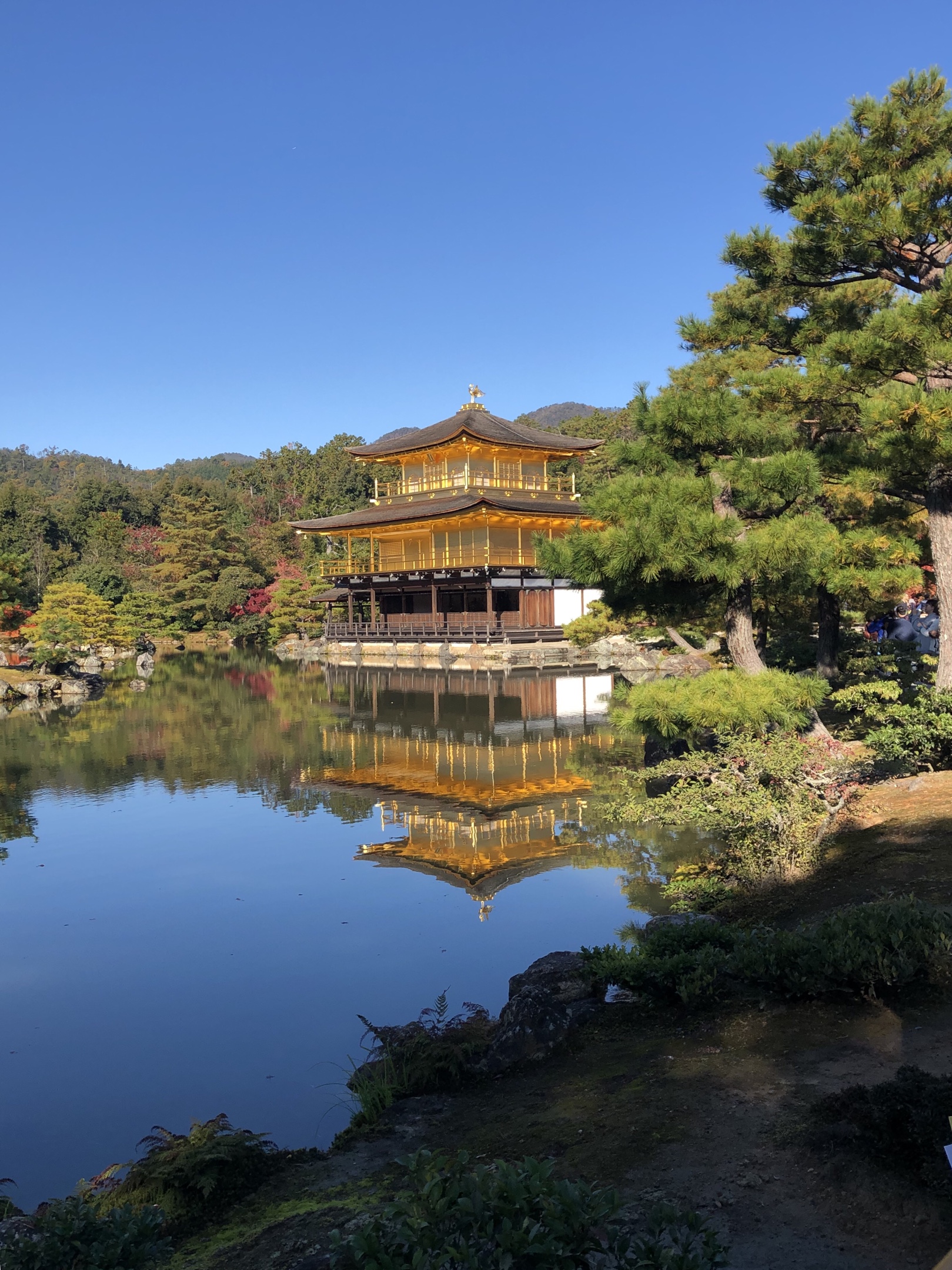日本旅行6京都金阁寺银阁寺