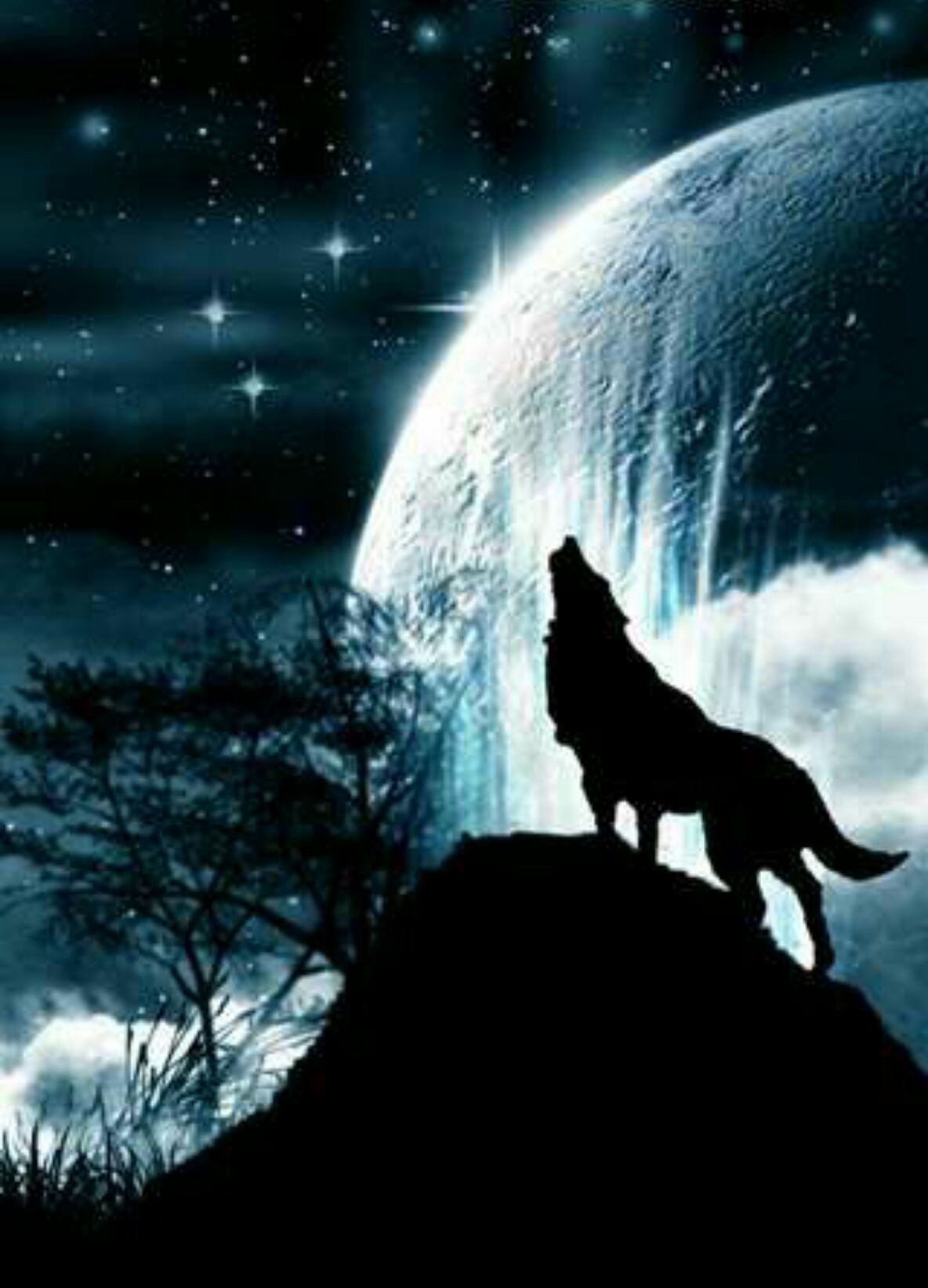 纪实散文连载大山里轶事野狼嚎