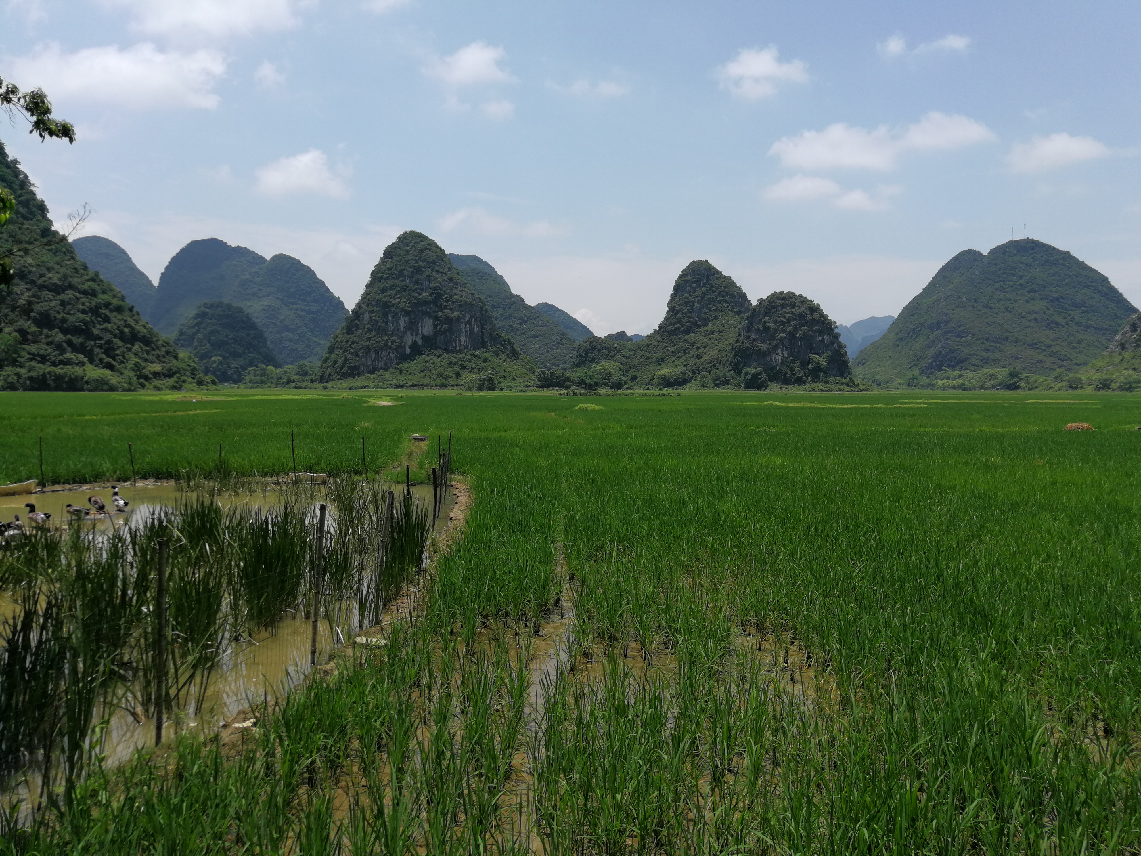 临桂田心村风光