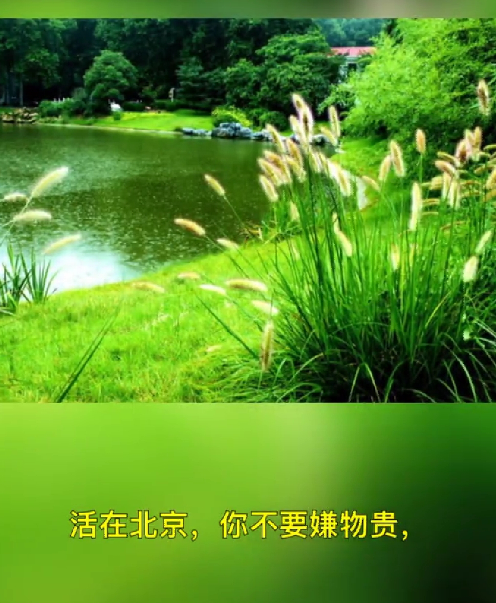 《活着真好》作者:佚名