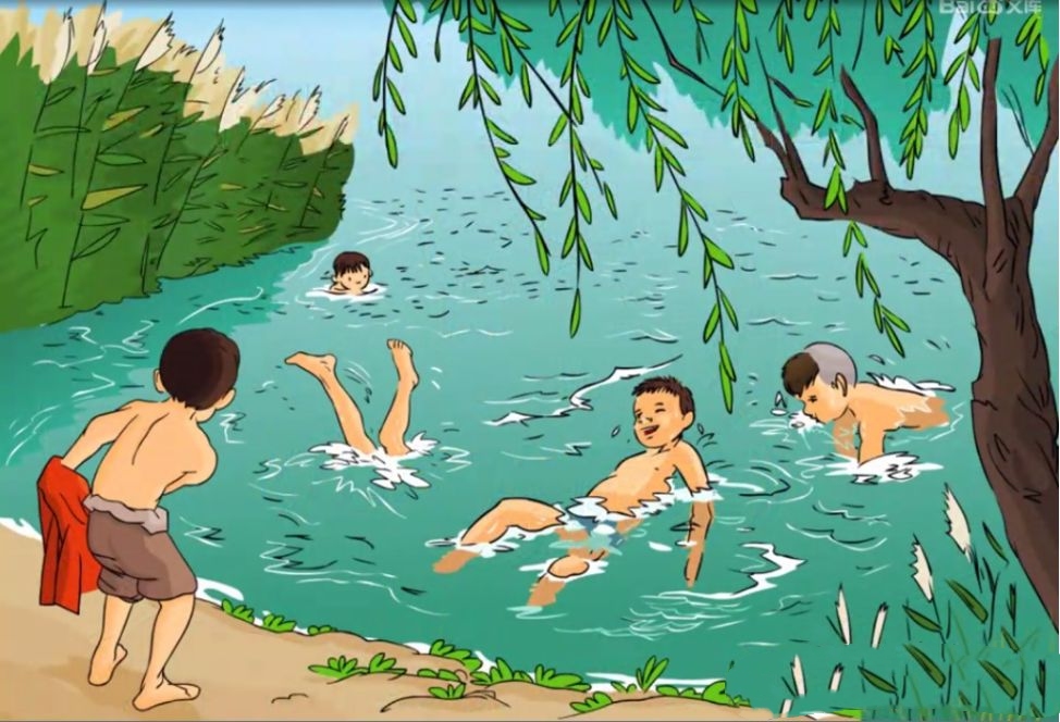 抗日战争时期,晋察冀边区的北部有一个芦花村,12岁的雨来就住在这里.