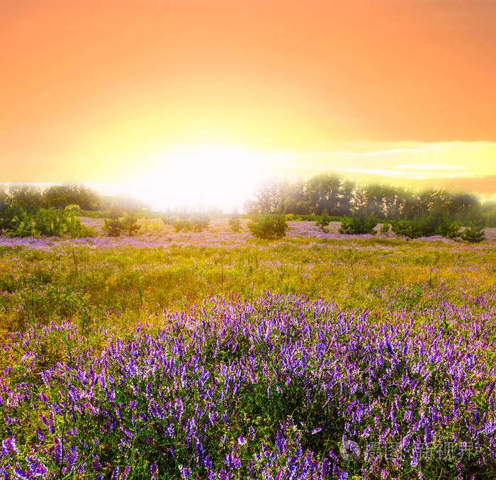 歌曲微腾花演唱平安是福