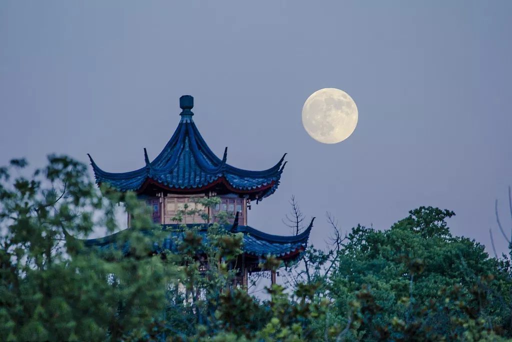 【首发】西楼月,指尖下流淌的墨香