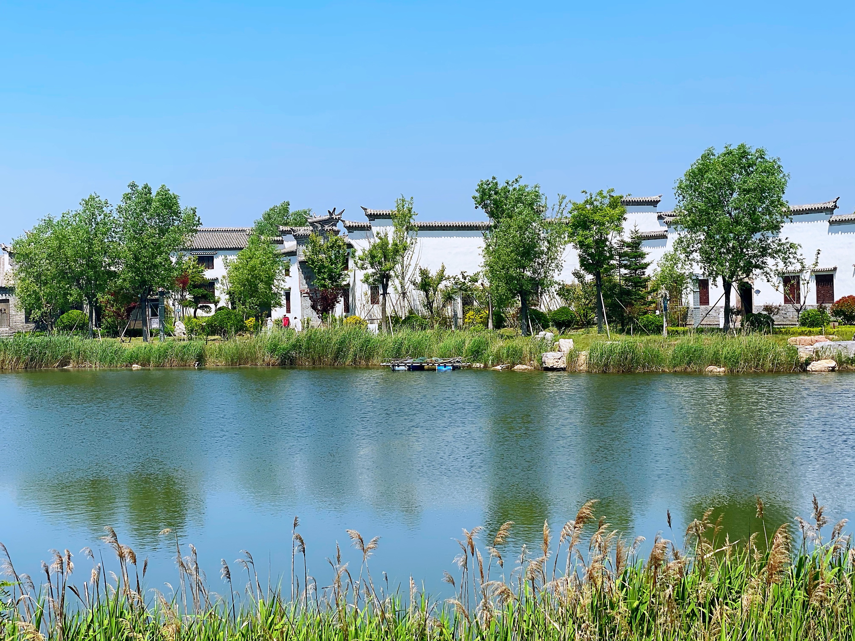 【首发】海西湿地公园掠影