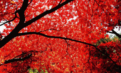 400_240gif 动态图 动图