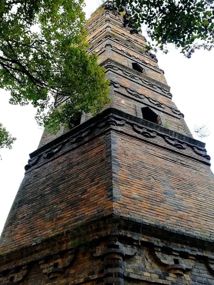 千年古塔的缩影访浦江龙德寺塔