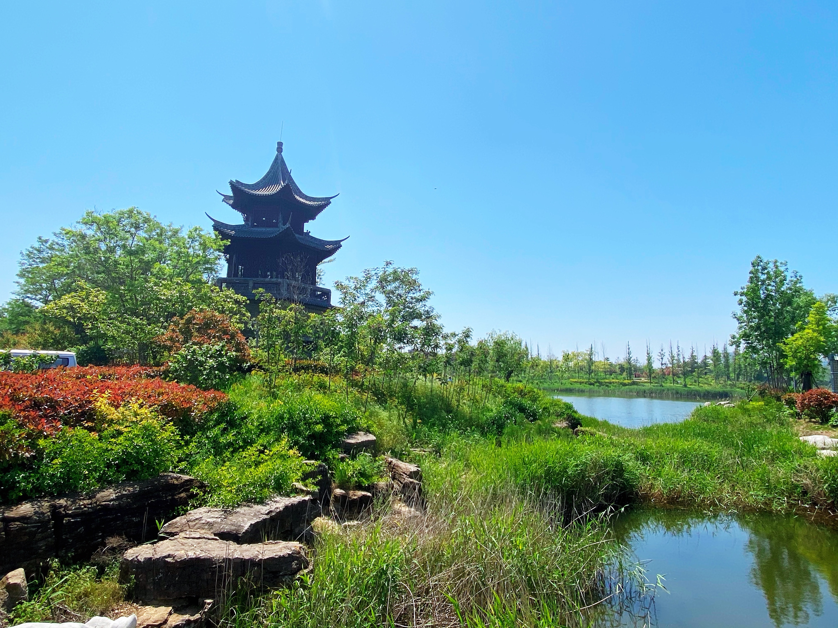 【首发】海西湿地公园掠影